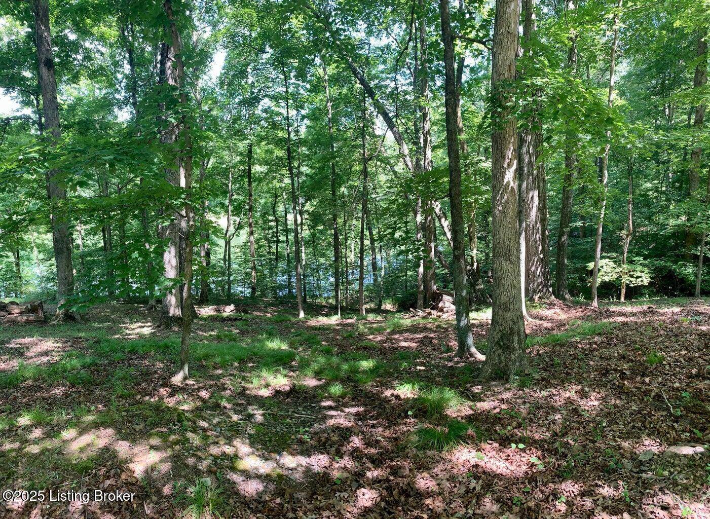 Lot 58 Lake Forest Shores, Westview, KY 40178