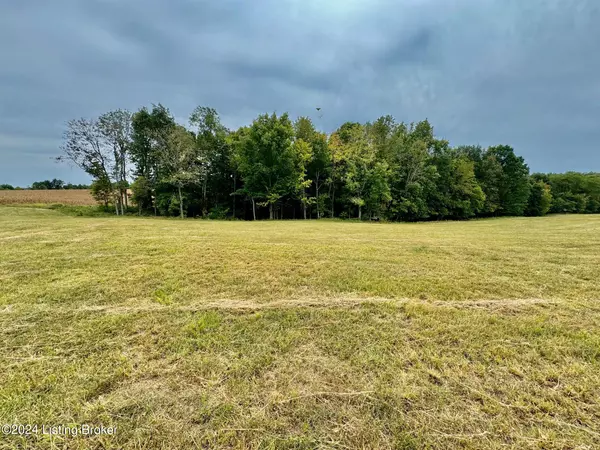 Springfield, KY 40069,11 Hillsboro Ln