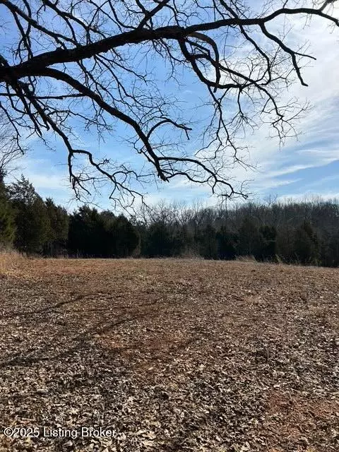 Rineyville, KY 40162,5 Harris School Rd