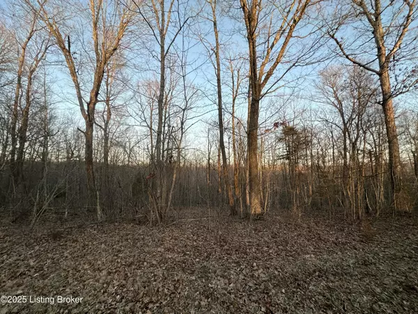 Lot 2 Levelwoods Rd, Campbellsville, KY 42718