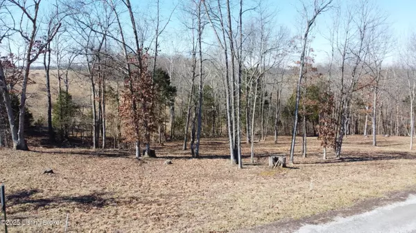 Falls Of Rough, KY 40119,Lot 1 Stargazer Ln