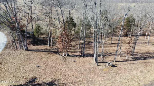 Falls Of Rough, KY 40119,Lot 1 Stargazer Ln