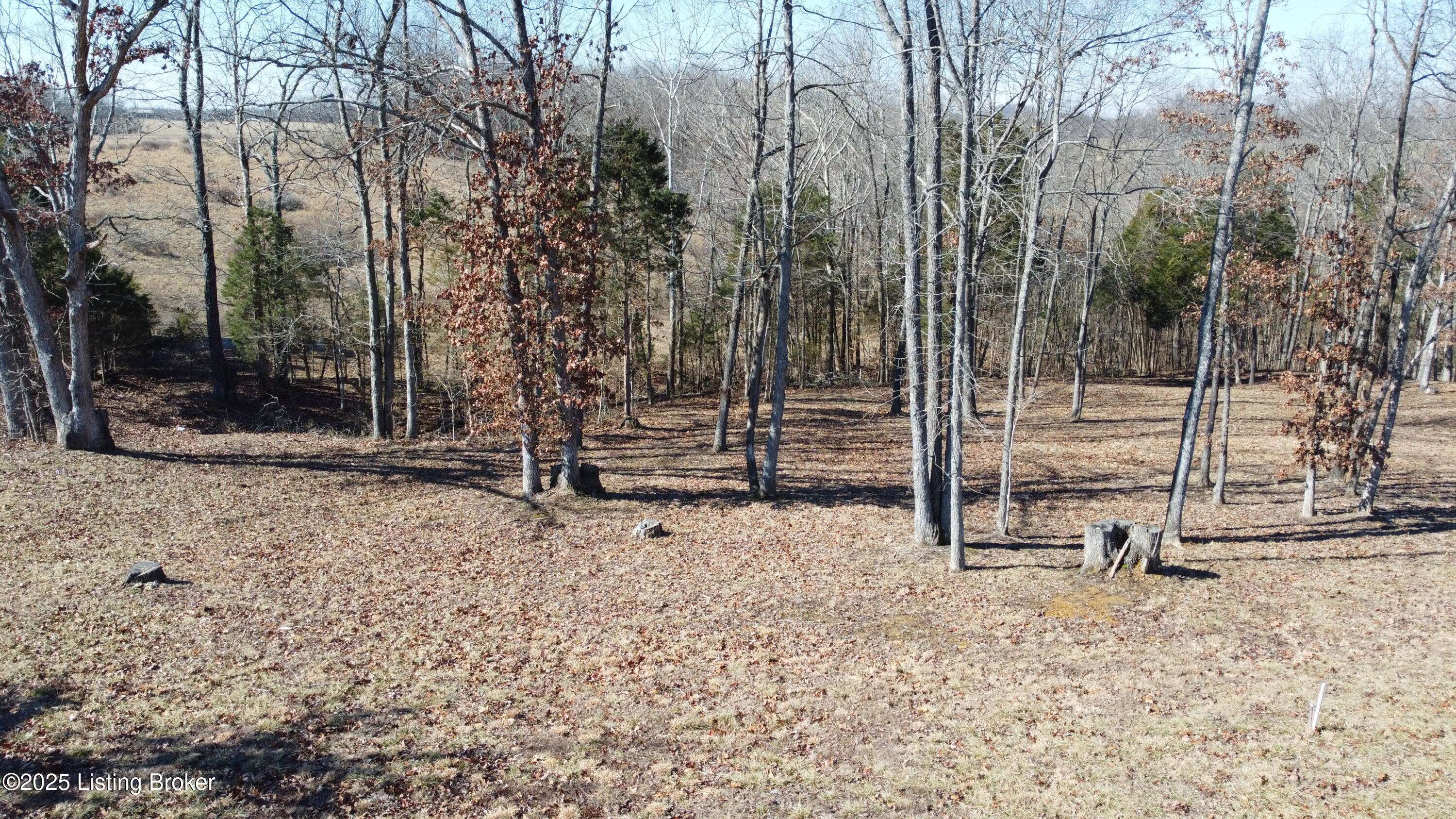Falls Of Rough, KY 40119,Lot 1 Stargazer Ln