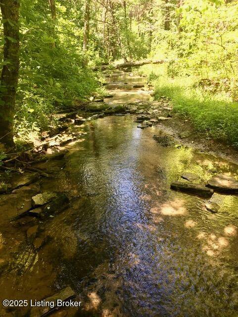 Shepherdsville, KY 40165,125/126 Bolten Ct