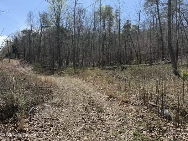 Falls Of Rough, KY 40119,0 Rockledge Rd
