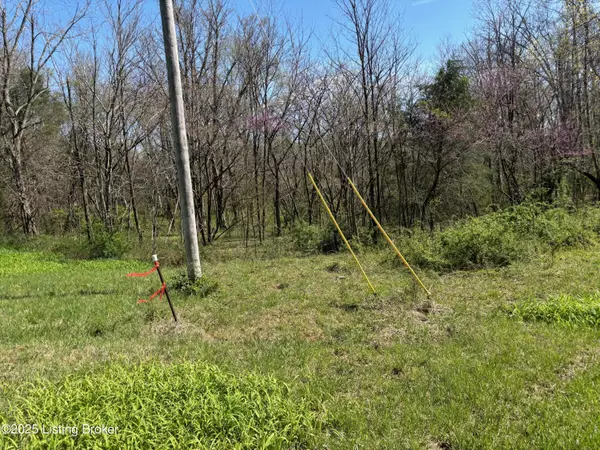 Webster, KY 40176,523 Roach Rd