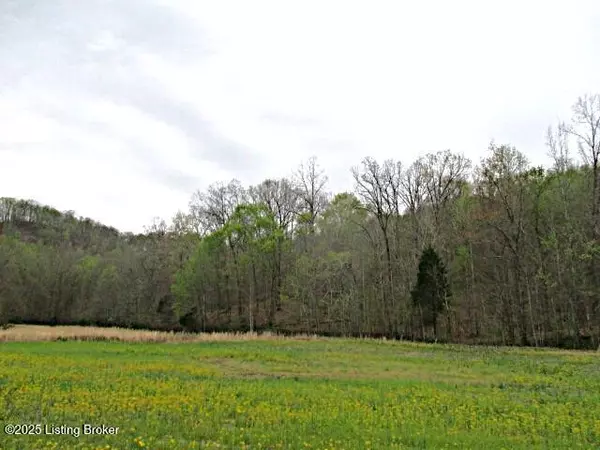 Lot 38 Sulphur Lick Rd, New Hope, KY 40052