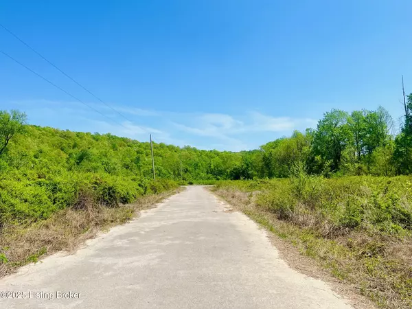 Falls Of Rough, KY 40119,0 Sandy Court East - Lot 153