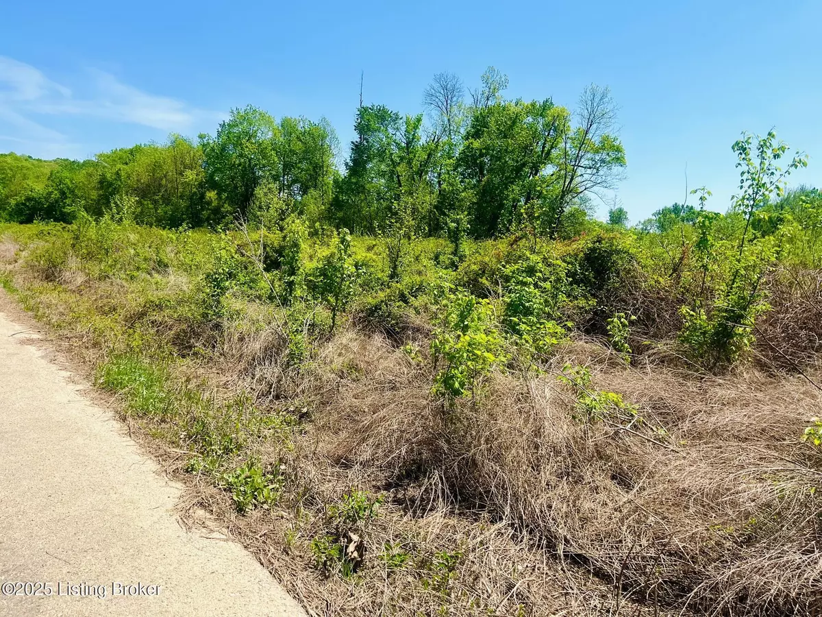 Falls Of Rough, KY 40119,0 Sandy Court East - Lot 153
