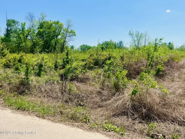 Falls Of Rough, KY 40119,0 Sandy Court East - Lot 153