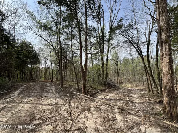Bonnieville, KY 42713,0 Gaddie Cottrell Road