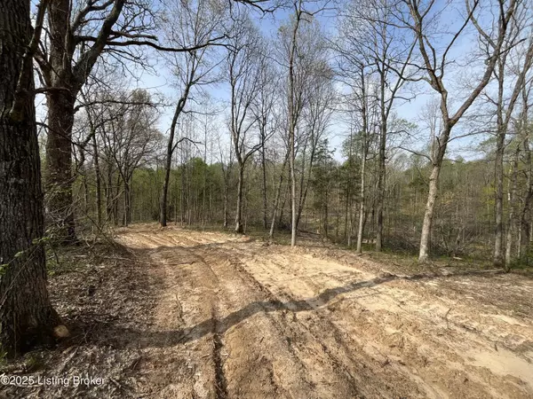 Bonnieville, KY 42713,0 Gaddie Cottrell Road