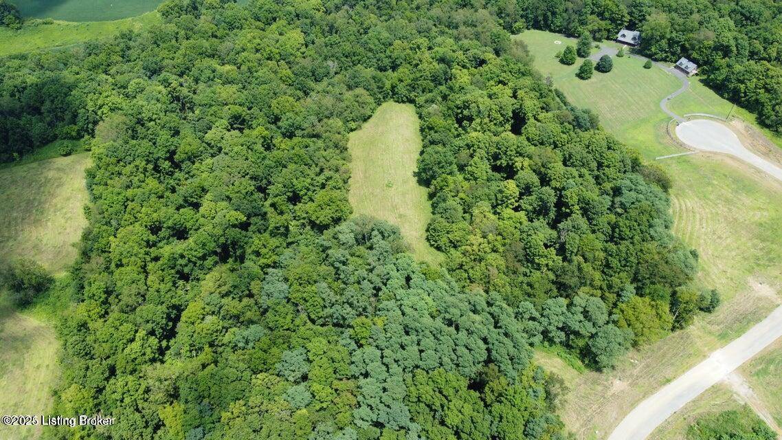 Shelbyville, KY 40065,Lot 45A Stallard Springs