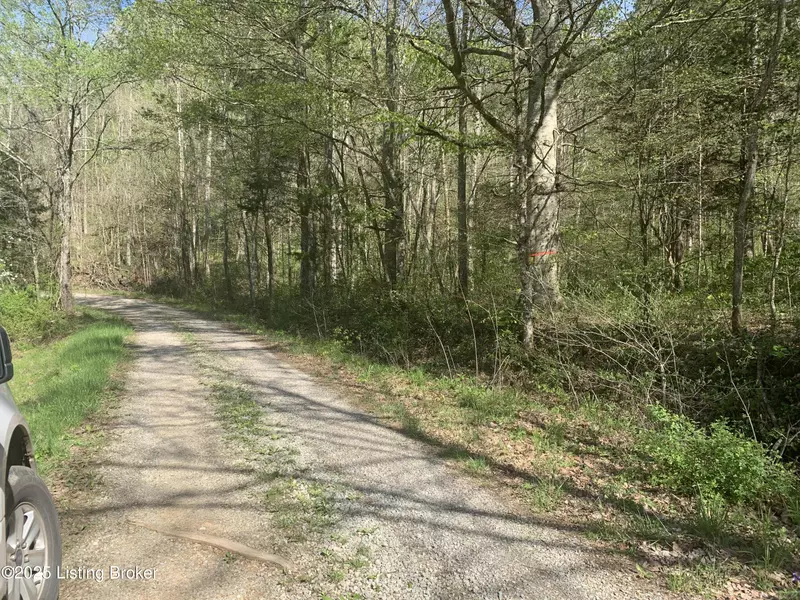 0000 Charter Creek-Subtle Rd, Edmonton, KY 42129