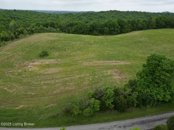 Caneyville, KY 42721,Lot 3 Duvall Rd