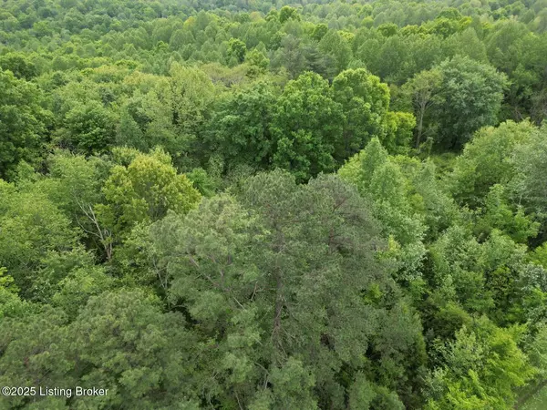 Caneyville, KY 42721,Lot 8 Duvall Rd