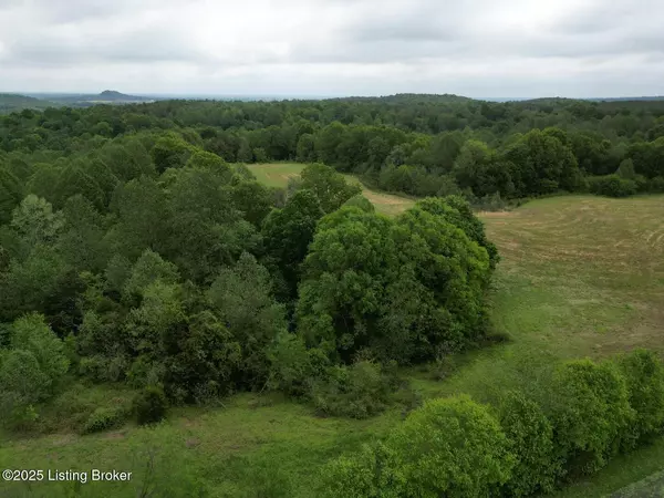 Caneyville, KY 42721,Lot 11 Duvall Rd