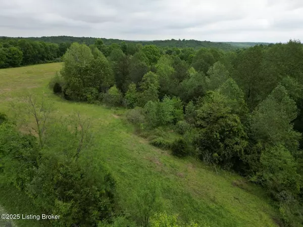 Caneyville, KY 42721,Lot 11 Duvall Rd