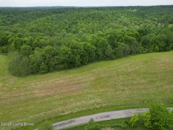 Caneyville, KY 42721,Lot 16 Duvall Rd