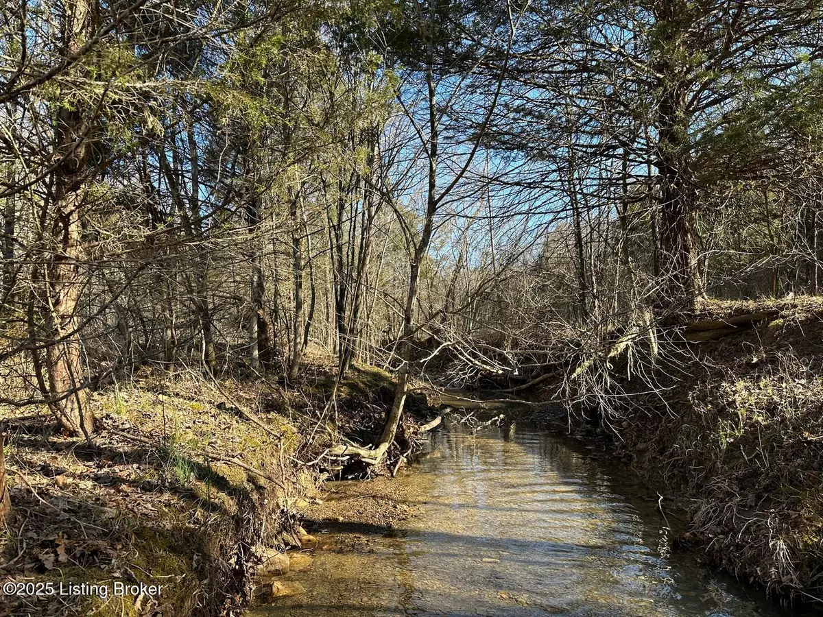 Caneyville, KY 42721,Lot 16 Duvall Rd