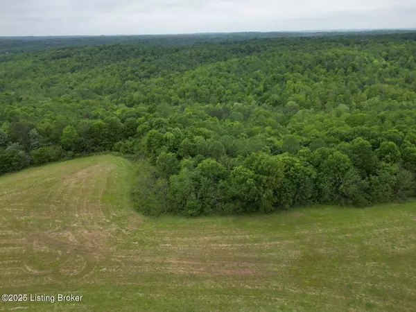 Caneyville, KY 42721,Lot 16 Duvall Rd