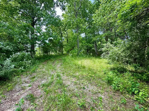 1371 Sunbeam Rd, Leitchfield, KY 42754
