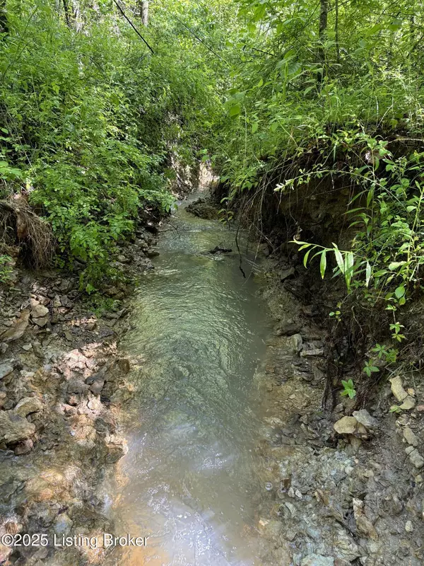 Raywick, KY 40060,0 Dry Fork Rd