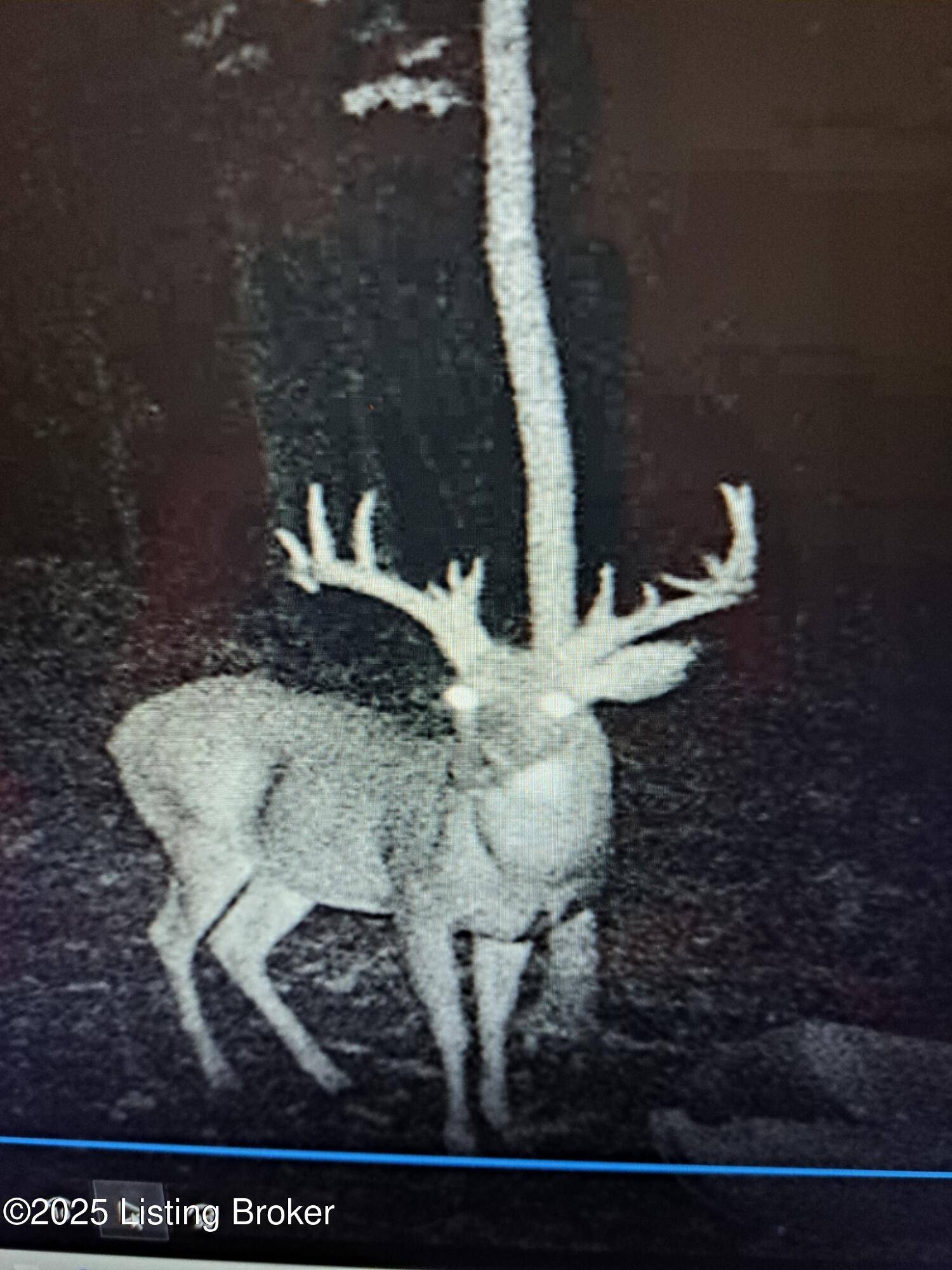 Mackville, KY 40040,5691 Battle Rd