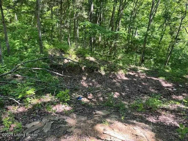 1745 Carters Rd #0, Lockport, KY 40036