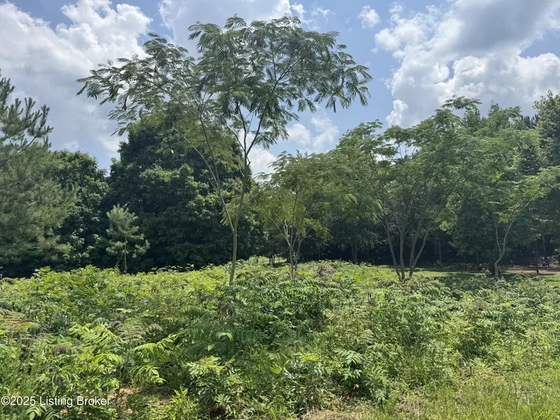 lot 528 Muskie WAY, Scottsville, KY 42164