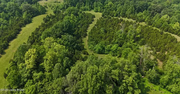 Bonnieville, KY 42713,0 Locust Grove Rd