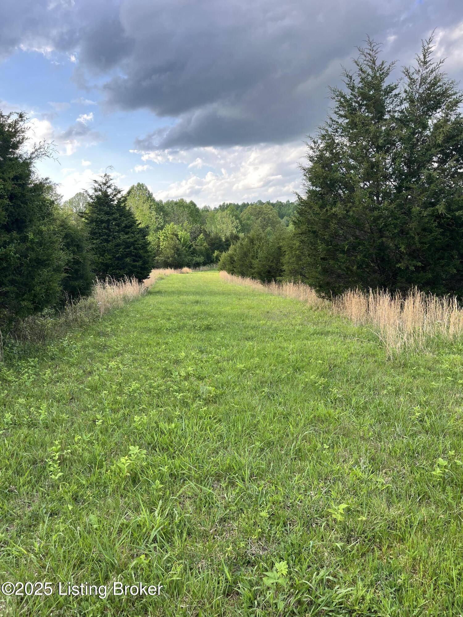 Bonnieville, KY 42713,0 Locust Grove Rd