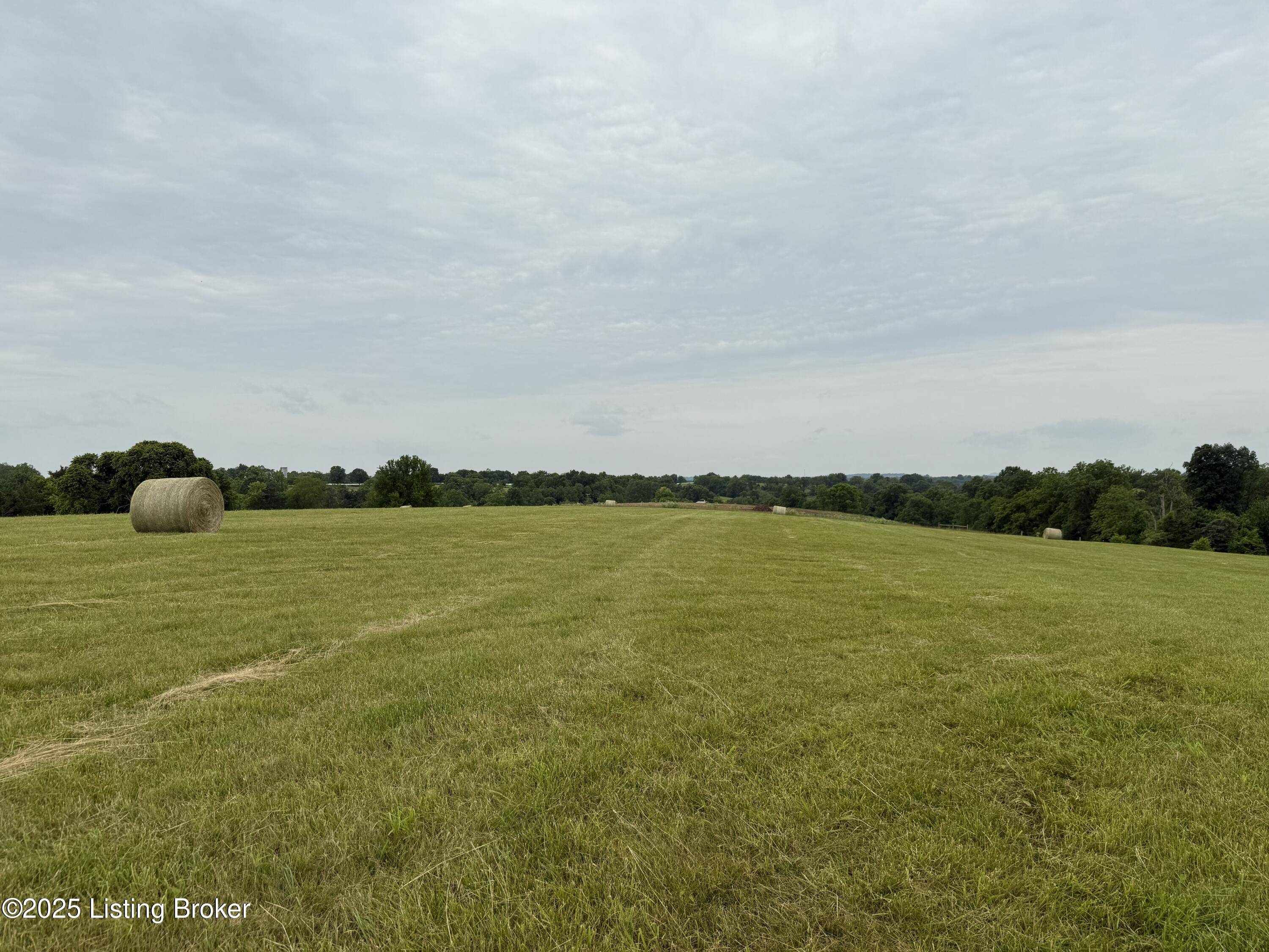 Springfield, KY 40069,Tract#10 Goatley Ln