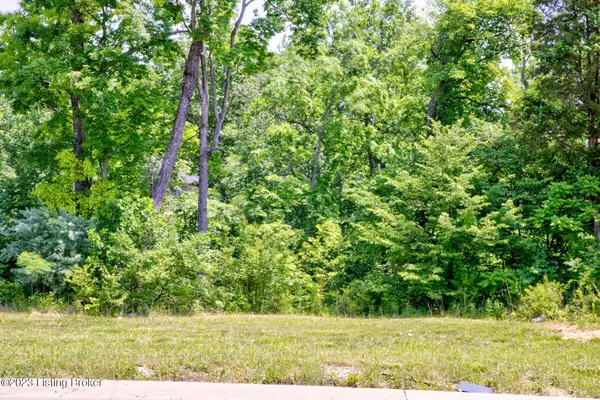 Mt Washington, KY 40047,0 Hidden Falls Dr #Lot 72