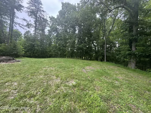 Lebanon Junction, KY 40150,482 McCubbins Rd