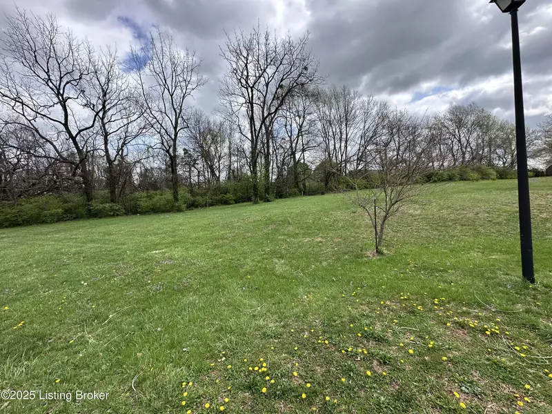 926 Woods Run Rd, Bardstown, KY 40004