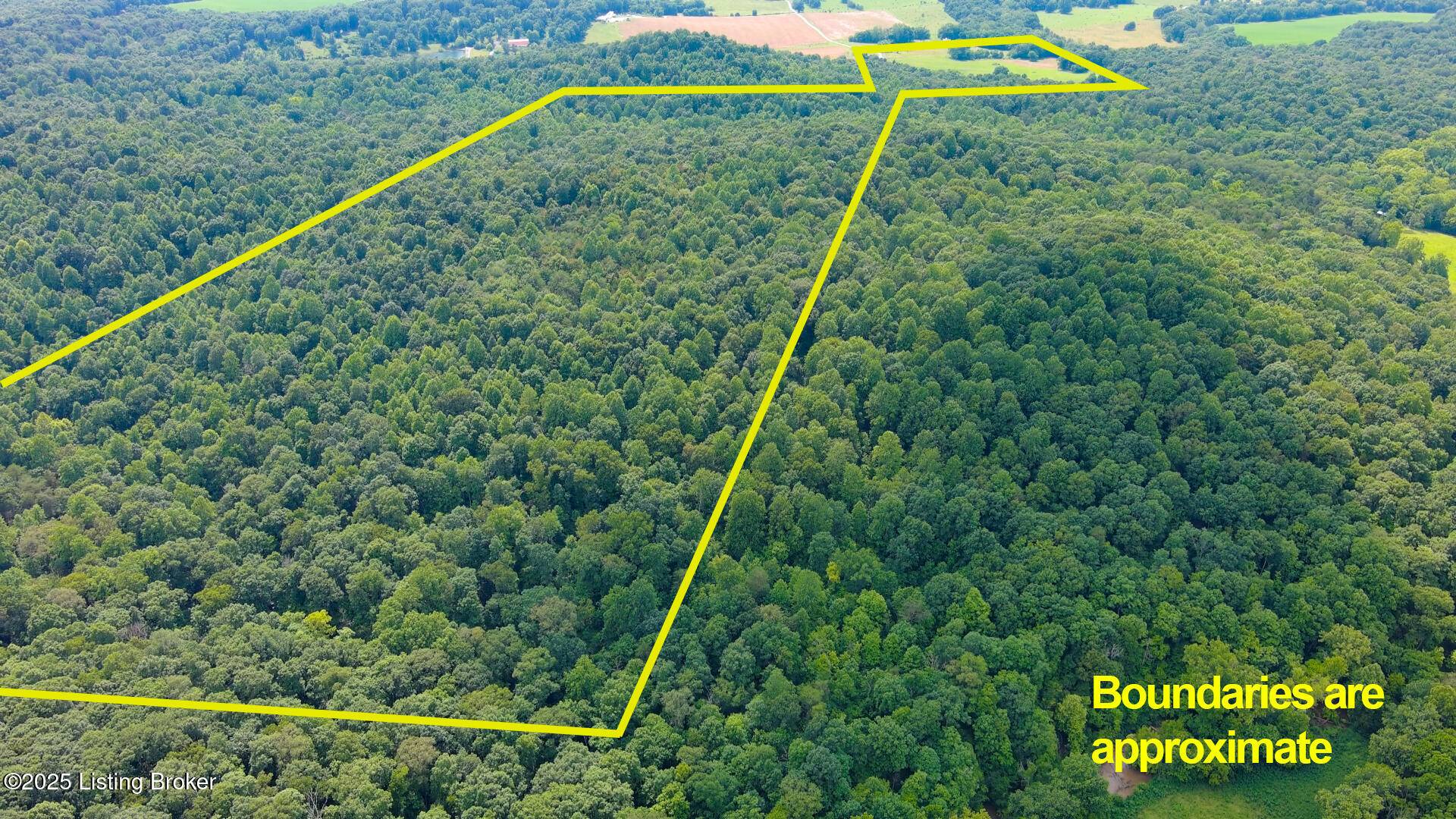 Munfordville, KY 42765,1176 Cave Hill Rd