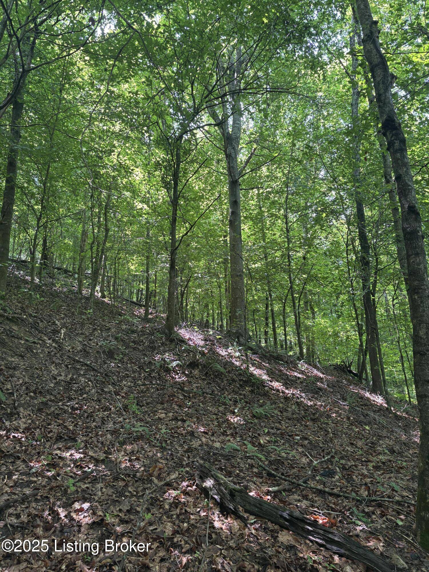 New Haven, KY 40051,0 Gap Knob Rd