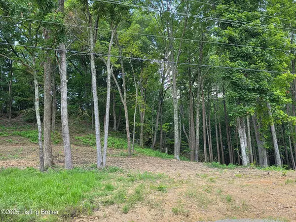 Falls Of Rough, KY 40119,6 Cave Creek Rd