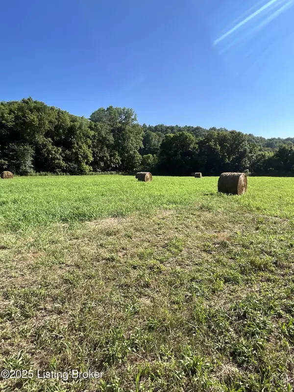 Bedford, KY 40006,3397 Barebone Rd