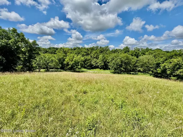 Springfield, KY 40069,3 Long Lick Ln