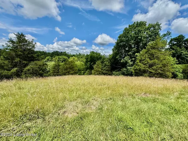 Springfield, KY 40069,4 Long Lick Ln