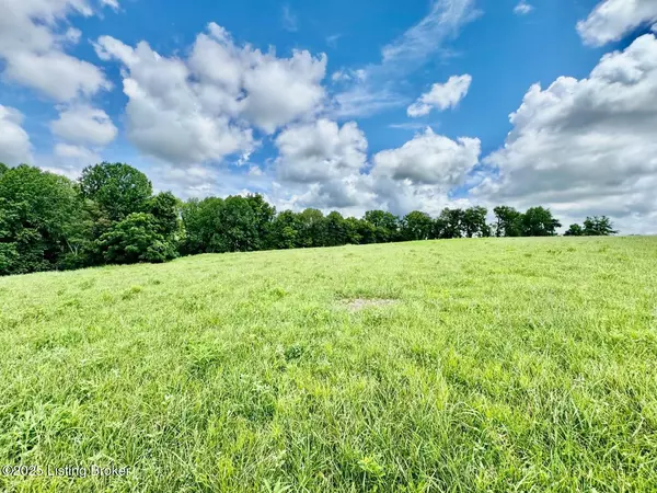 Springfield, KY 40069,6 Long Lick Ln