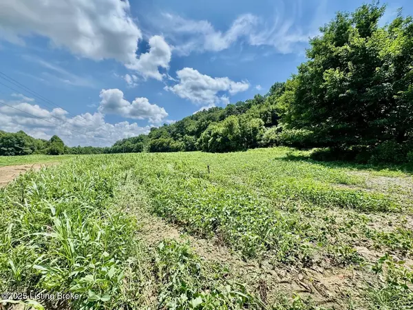 Springfield, KY 40069,998 Grundy Home Rd