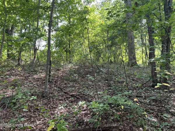 Mammoth Cave, KY 42259,802 Stone Hill Rd