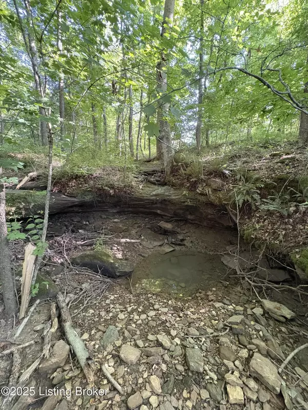 Hardinsburg, KY 40143,281 Lady Bug Ln