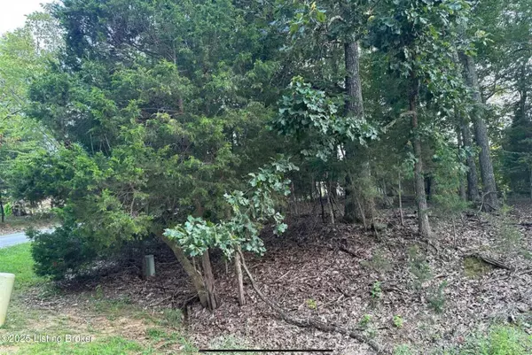 Brandenburg, KY 40108,539 Strawberry Hill Drive Dr
