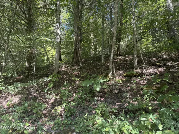 Lawrenceburg, KY 40342,1590 Crooked Creek Rd