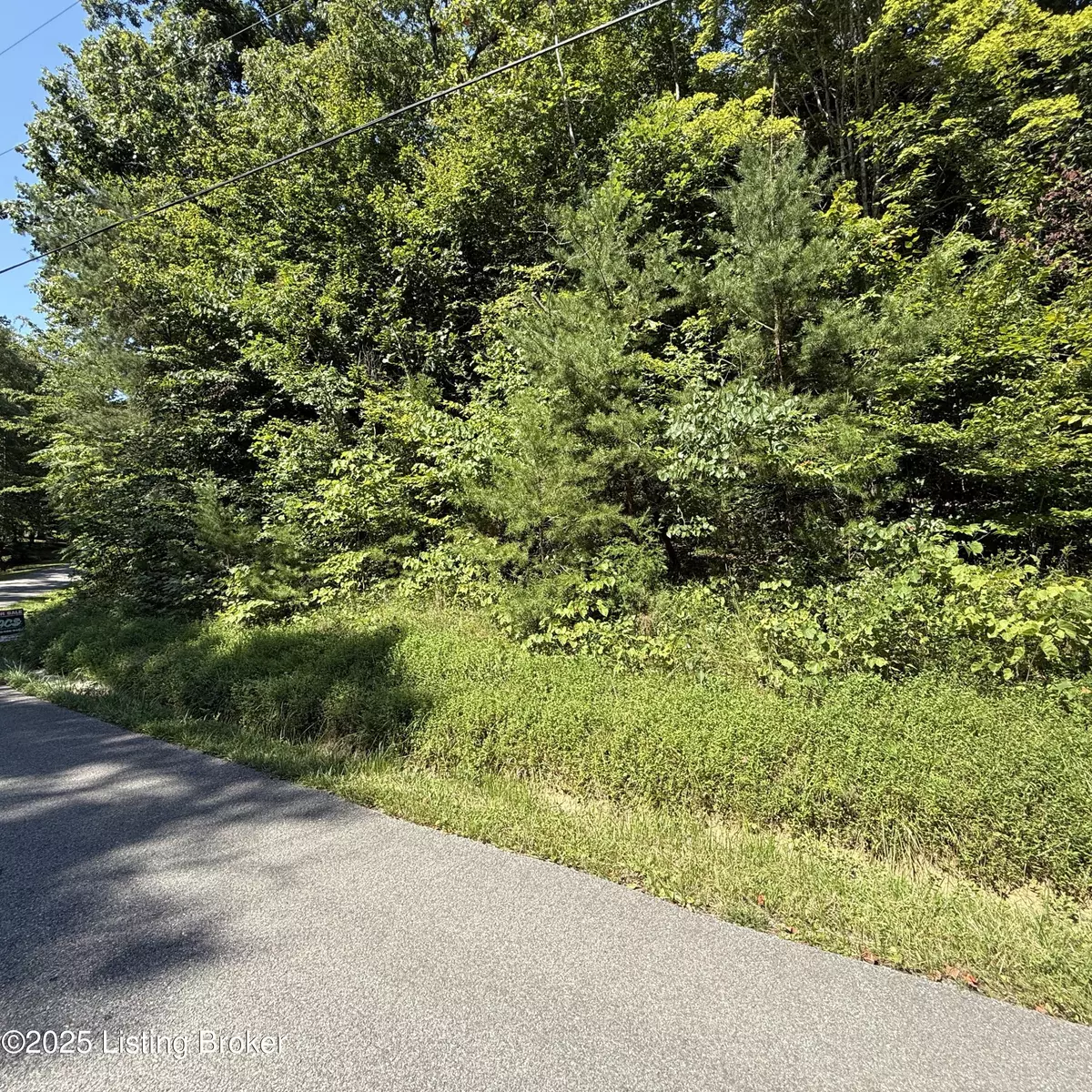 Mammoth Cave, KY 42259,677 Lake Shore Dr