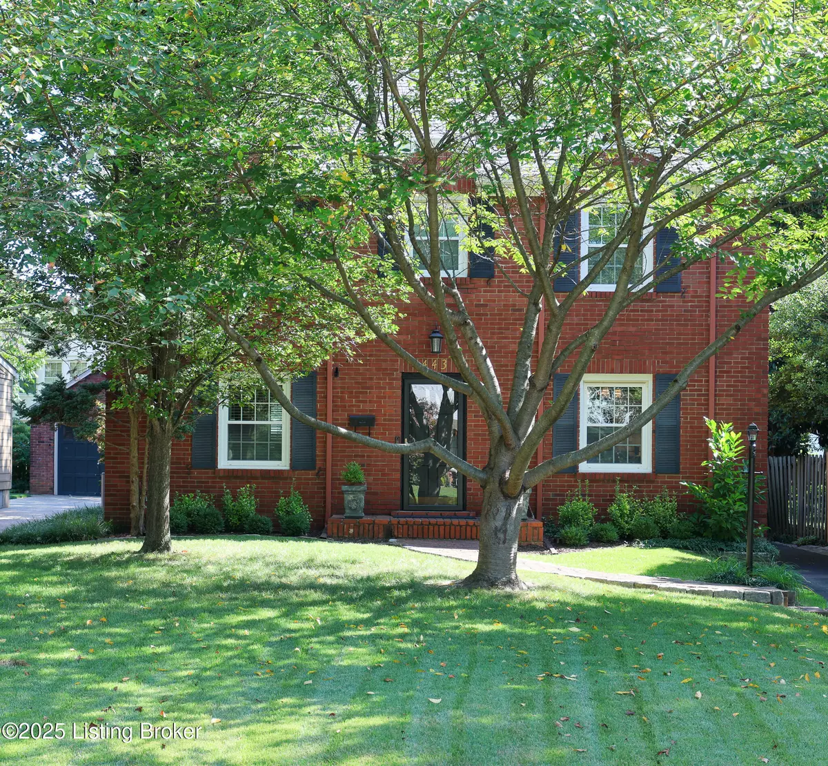 Louisville, KY 40206,443 University Ave